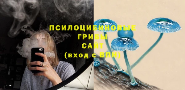 спиды Богданович