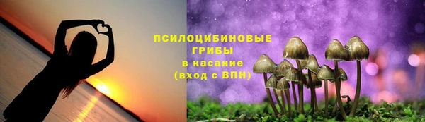 дурь Бугульма