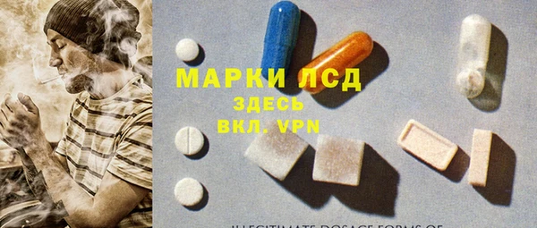 спиды Богданович