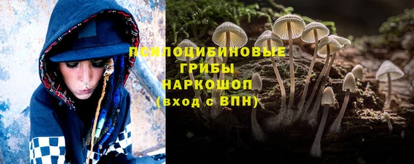spice Беломорск
