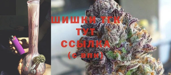 спиды Богданович