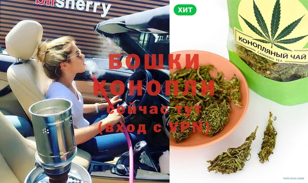 спиды Богданович