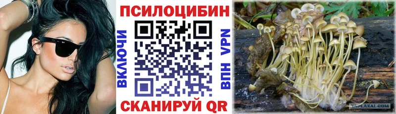 Галлюциногенные грибы мицелий  купить   Белебей 